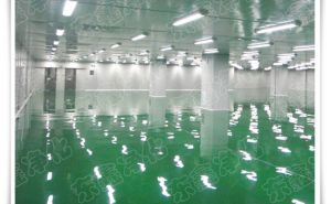 廣東車間凈化工程建設(shè)要注意的問題【東鑫凈化】“義無反顧”的指出